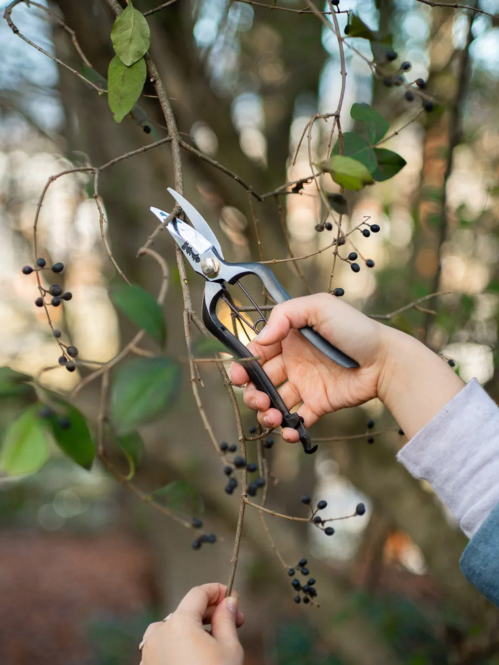 Japanese Shears and Gardening Tools