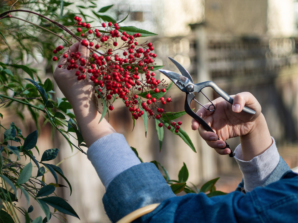 Secateurs & Scissors