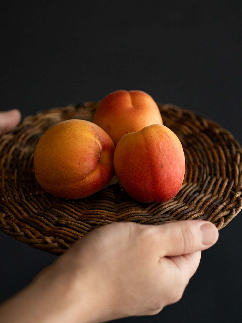 Akebi Vine Trivet