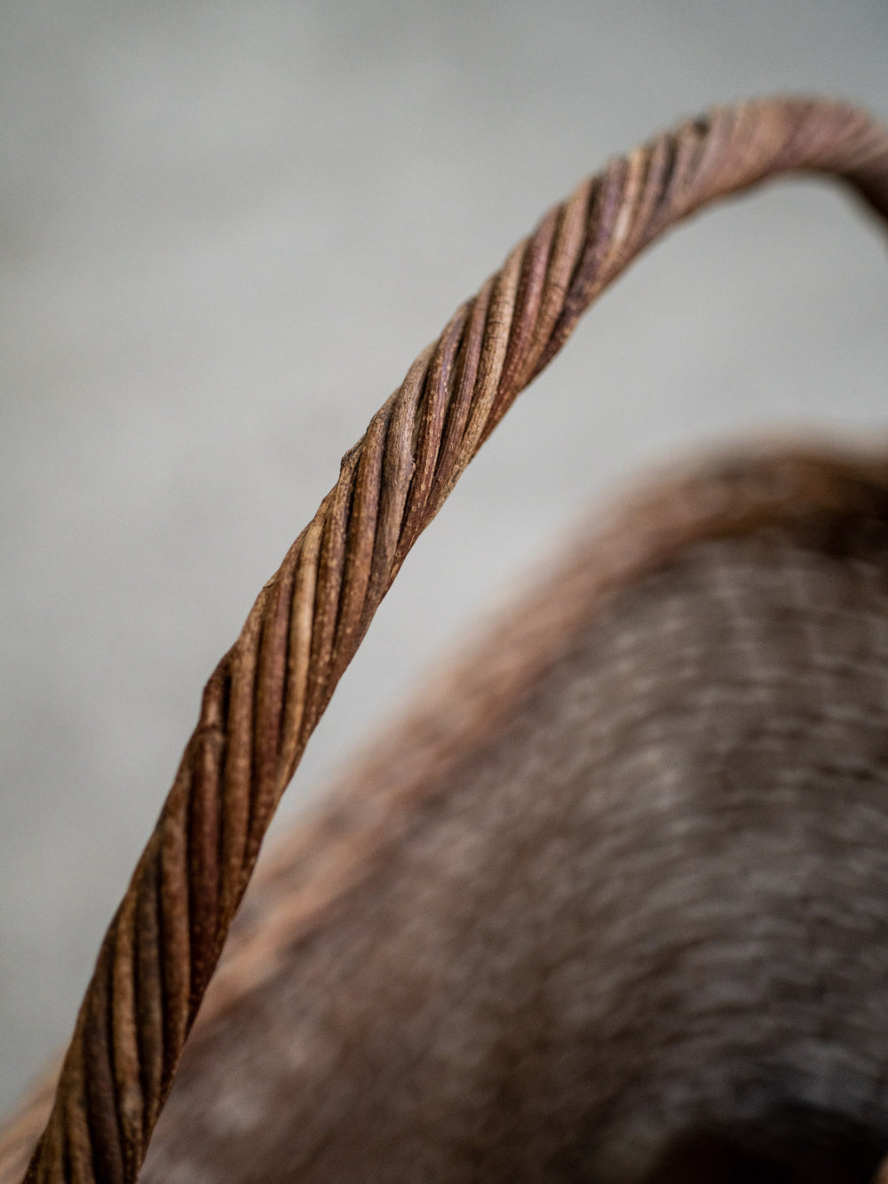 Akebi Single Handle Basket