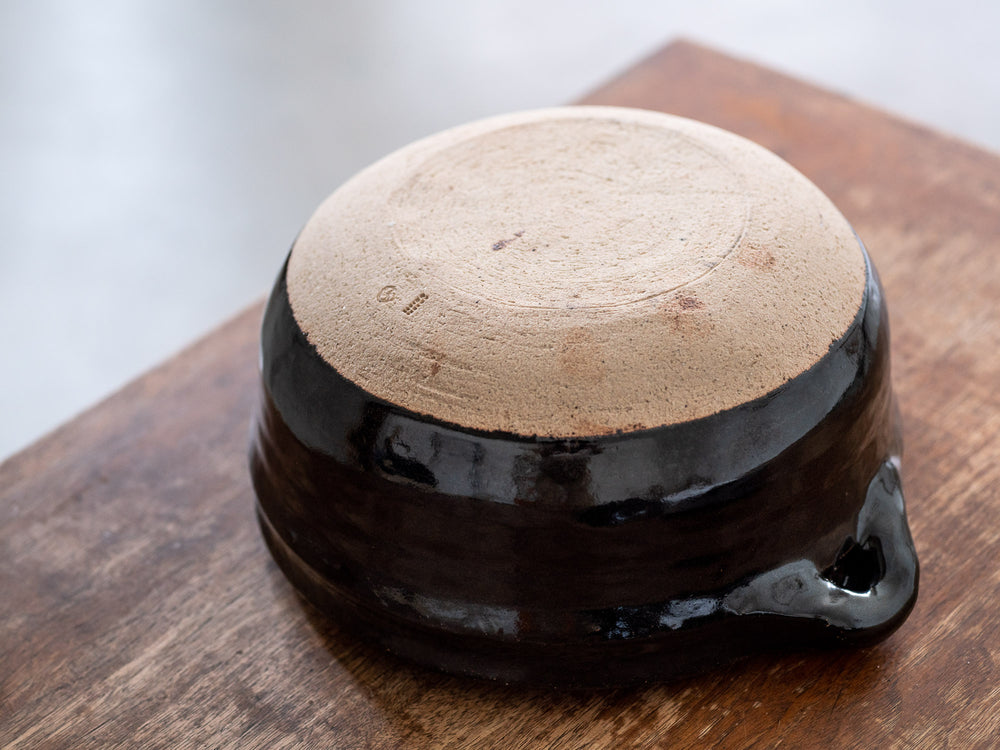 Iga Donabe Rice Pot