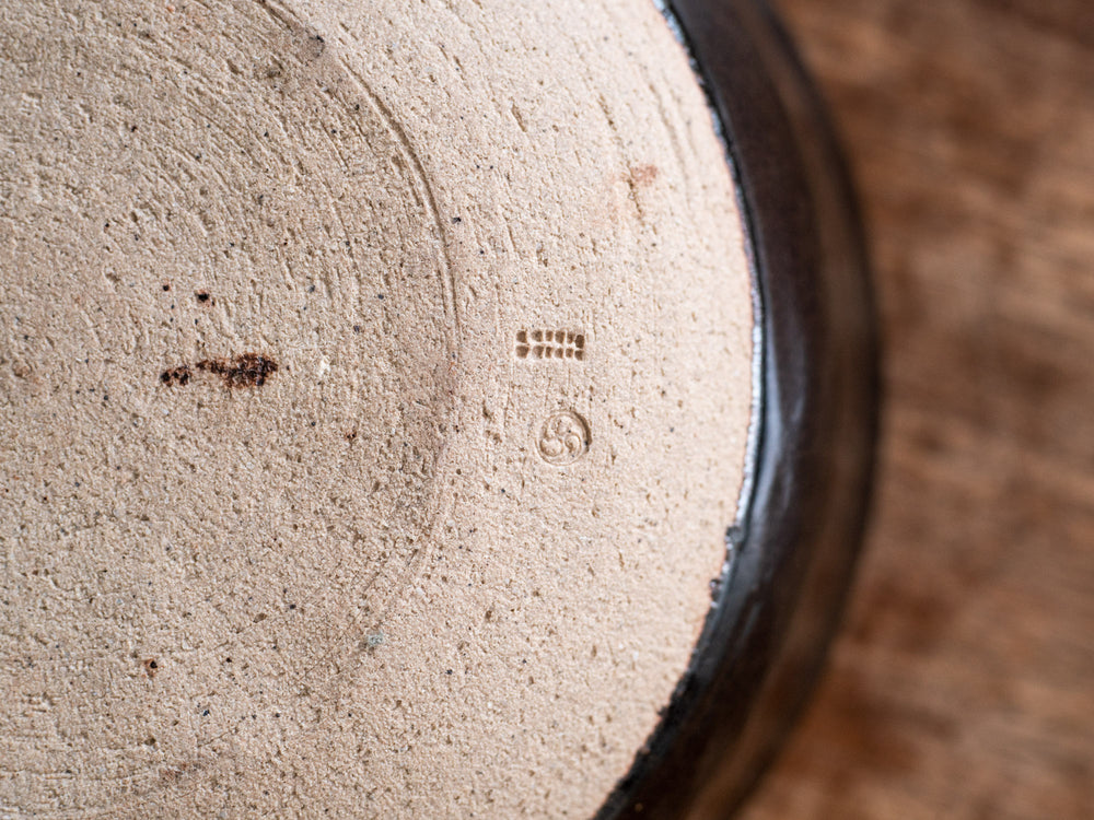 Iga Donabe Rice Pot