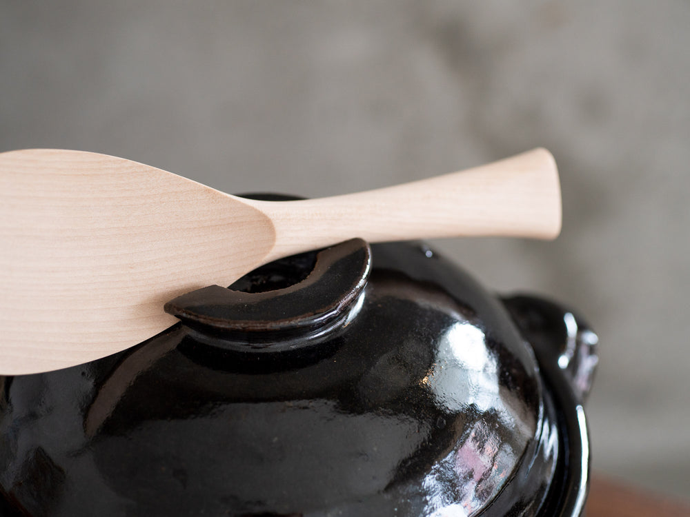 Iga Donabe Rice Pot