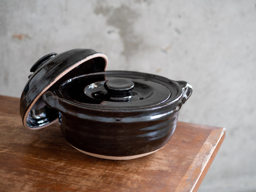 Iga Donabe Rice Pot