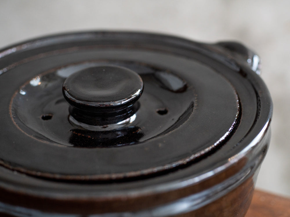 Iga Donabe Rice Pot
