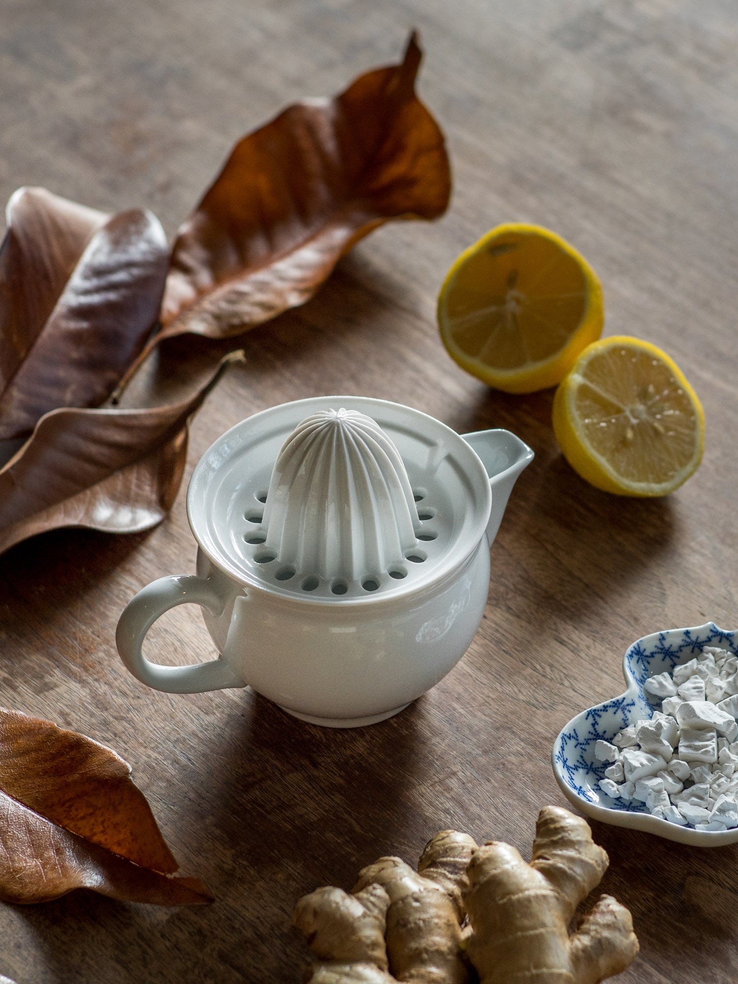 Ceramic Citrus Juicer