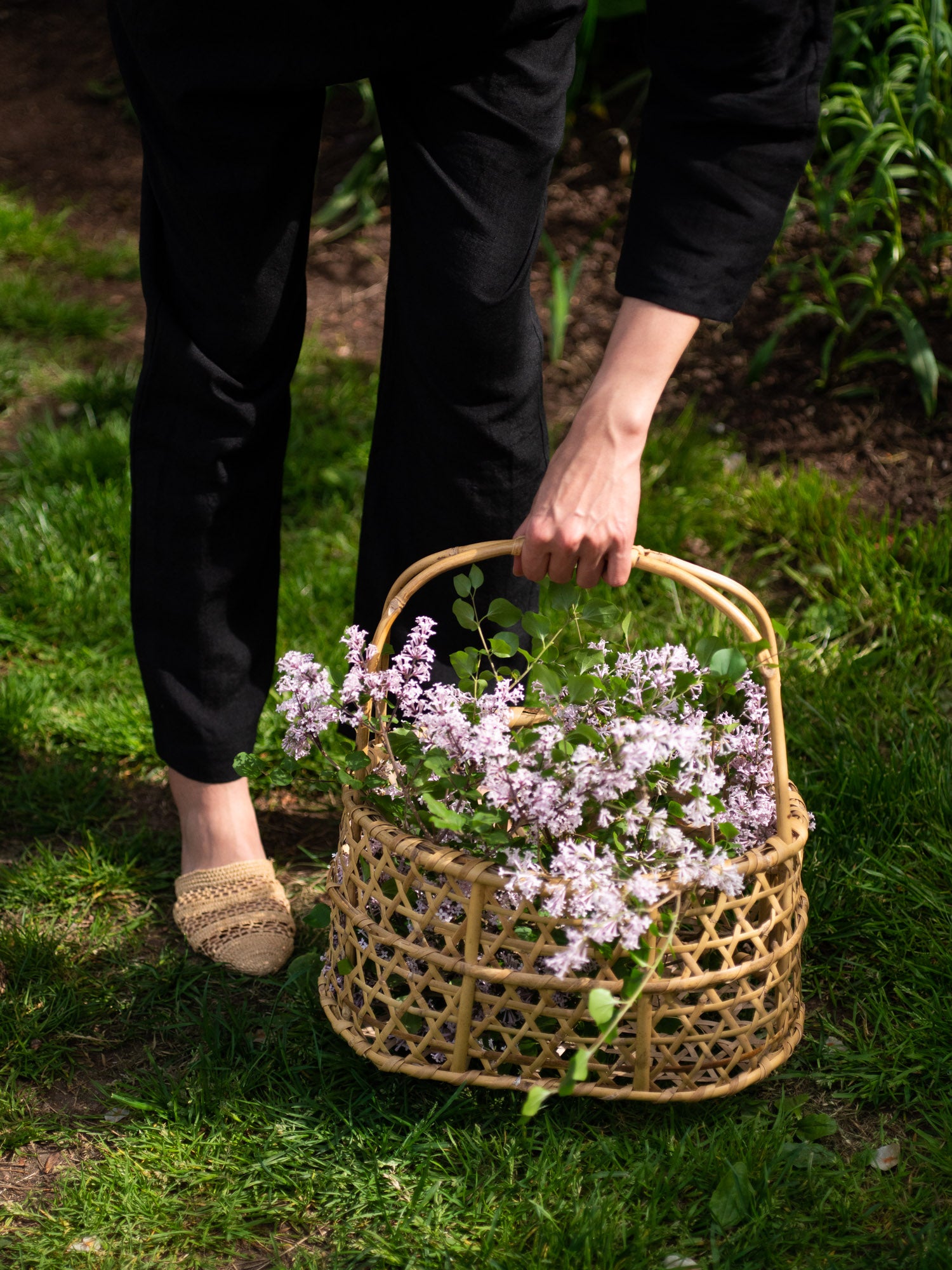 Aizu Oshin Bamboo Basket