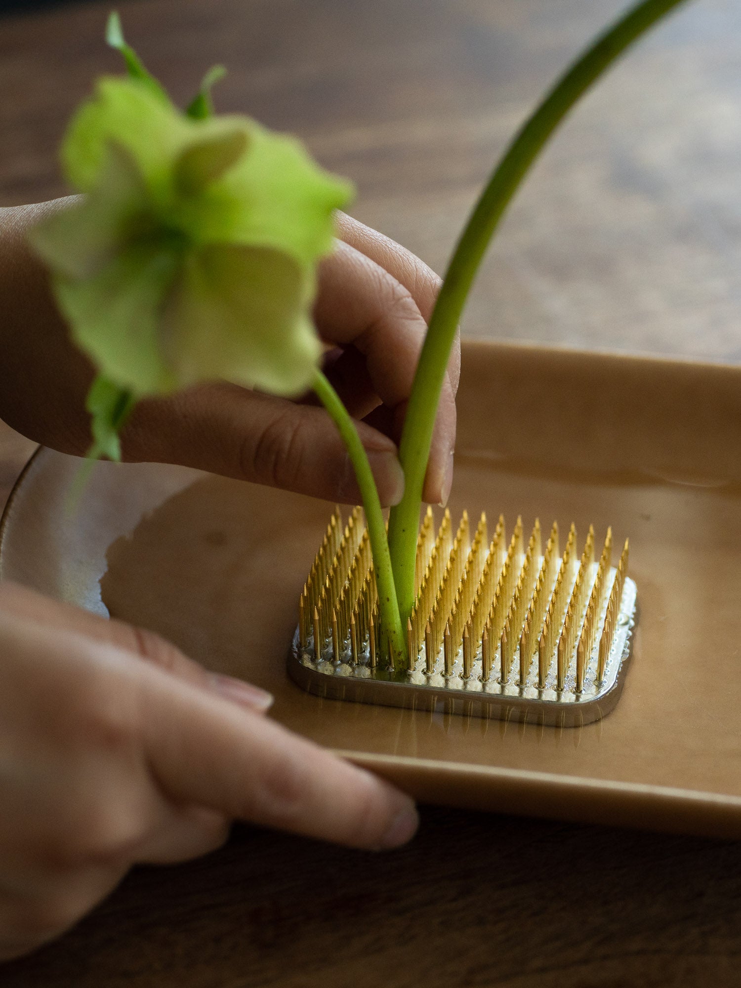 Brass Kenzan – Rectangle