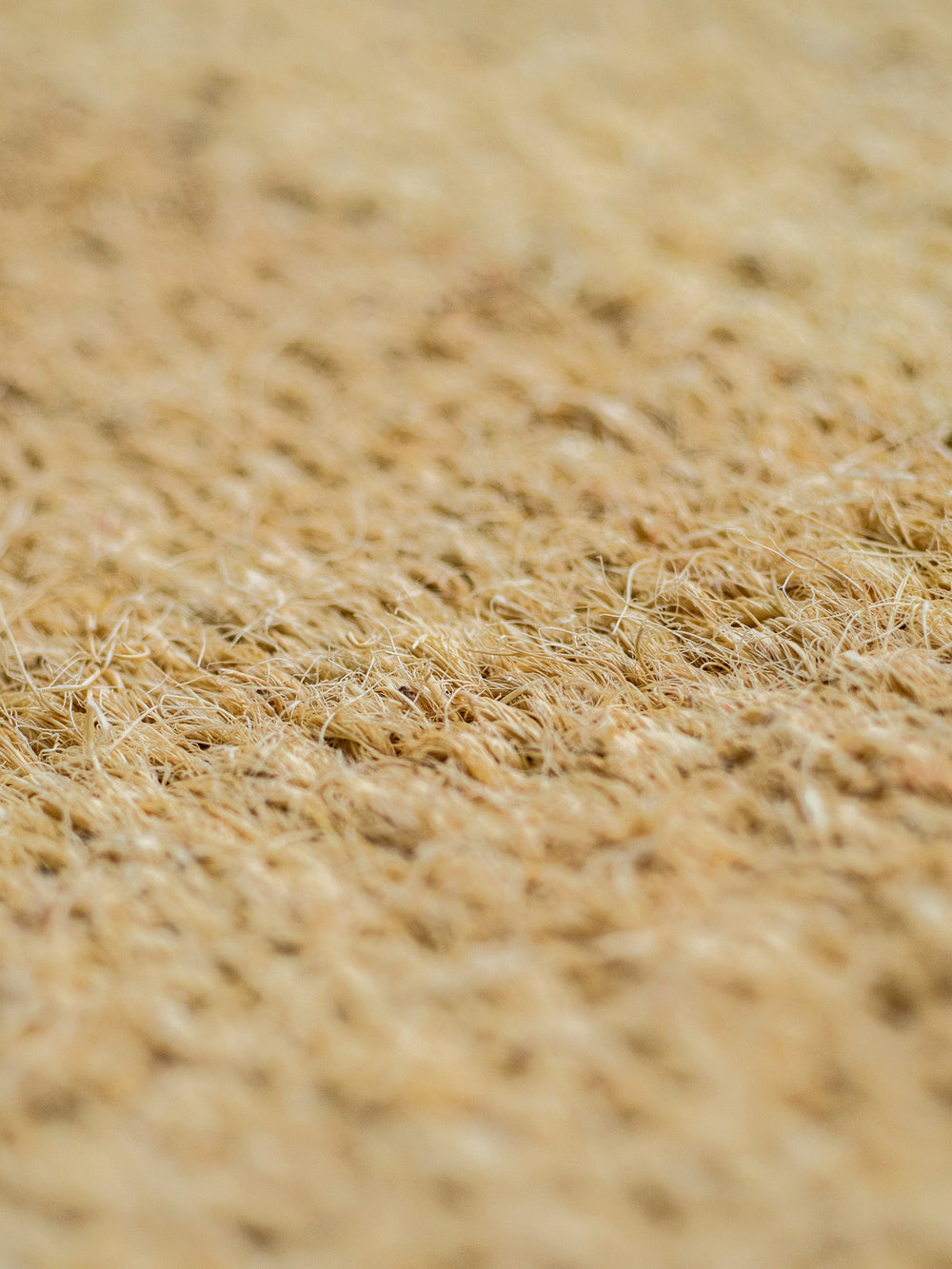 Coco Floor Mat