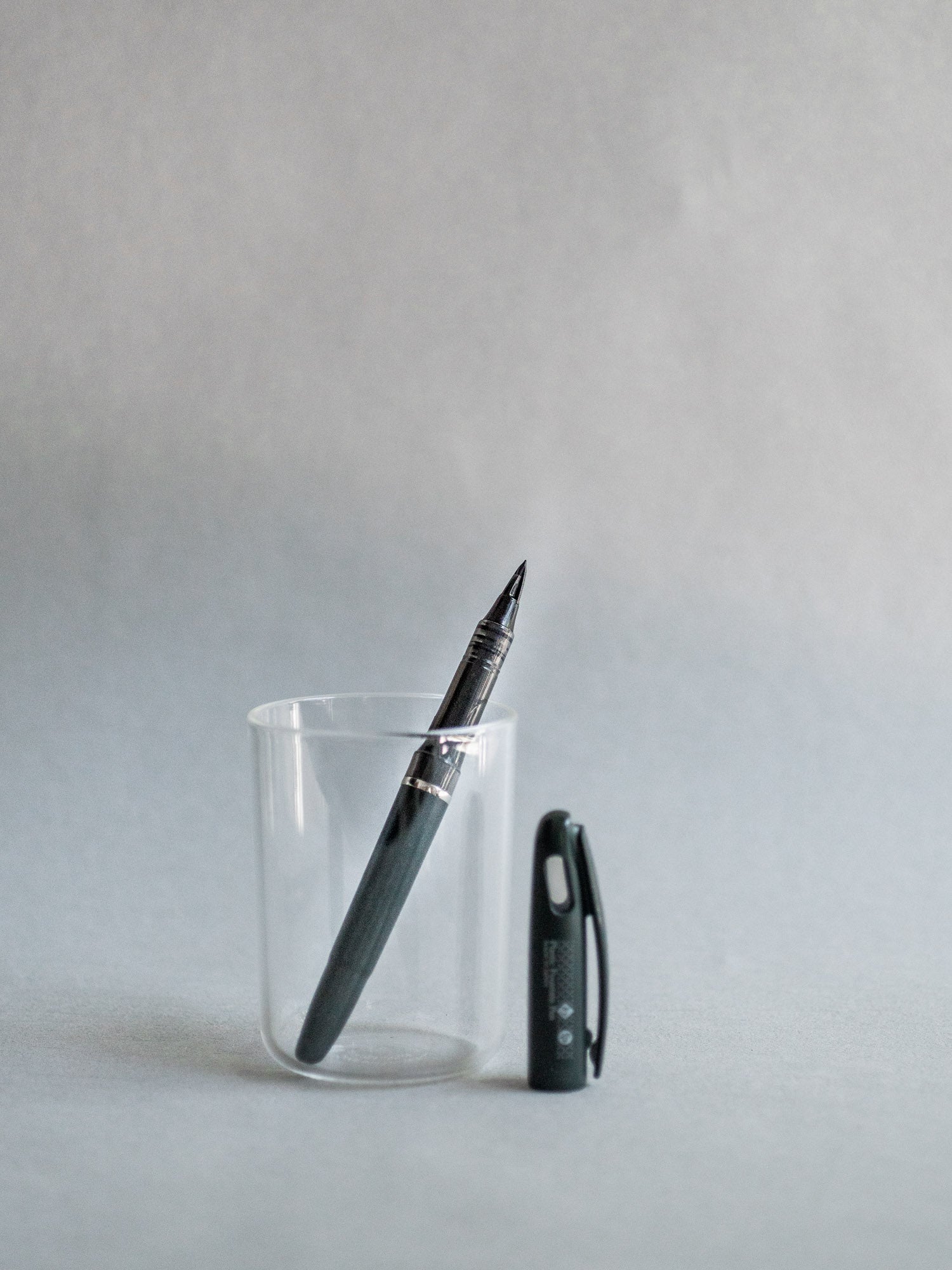 Tradio Plastic Fountain Pen
