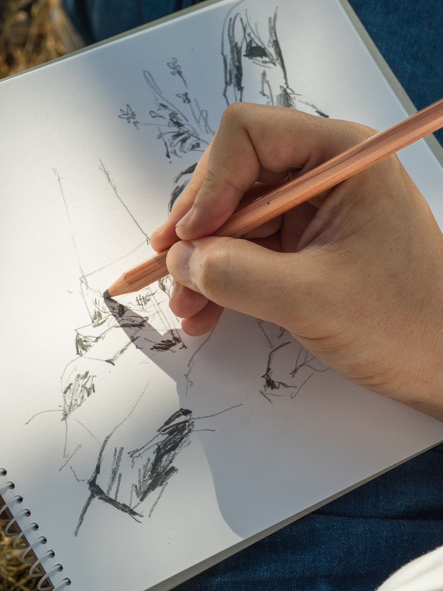 Gekkoso 8B Pencil