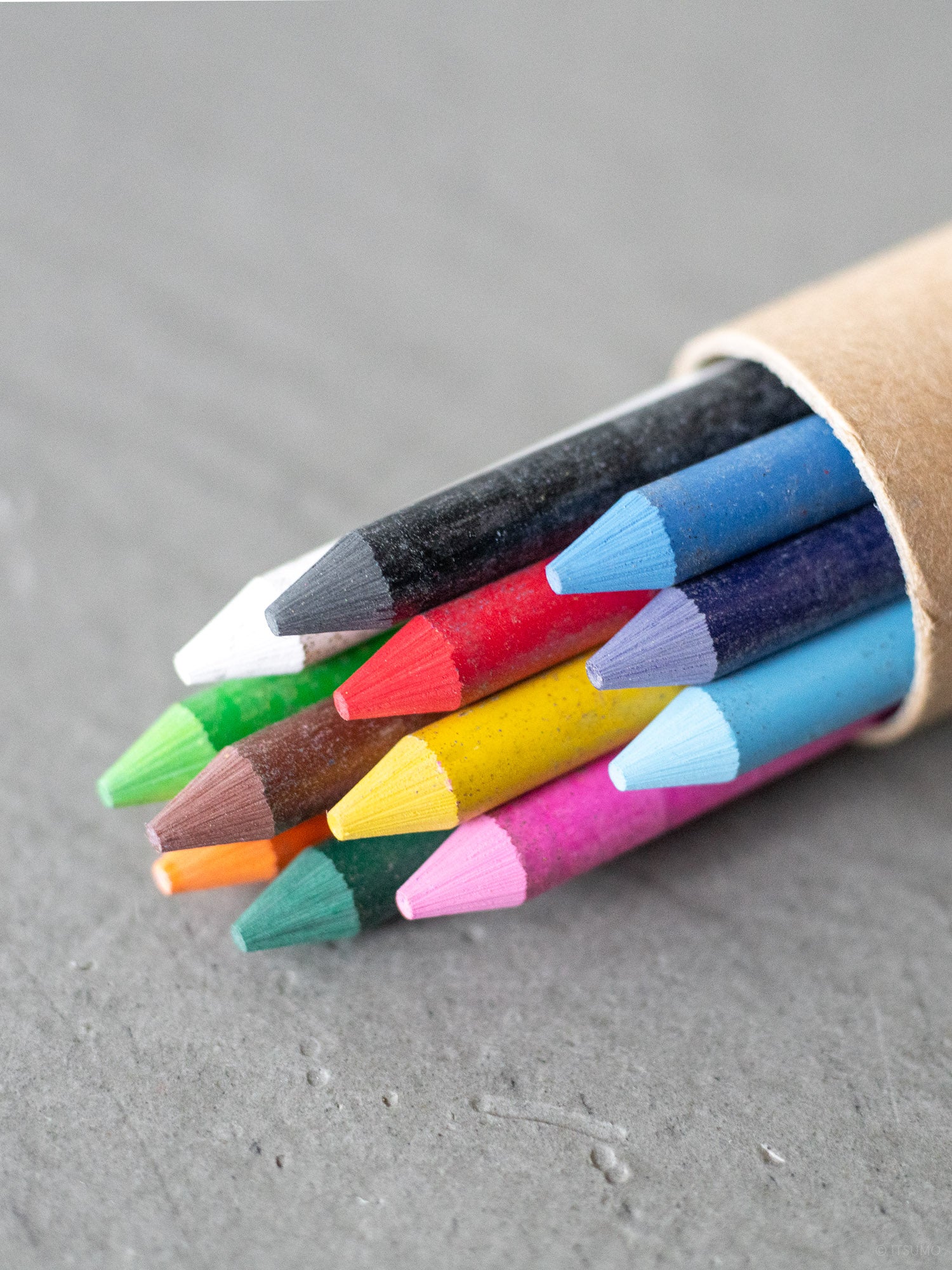 Gekkoso Colour Pencil Set