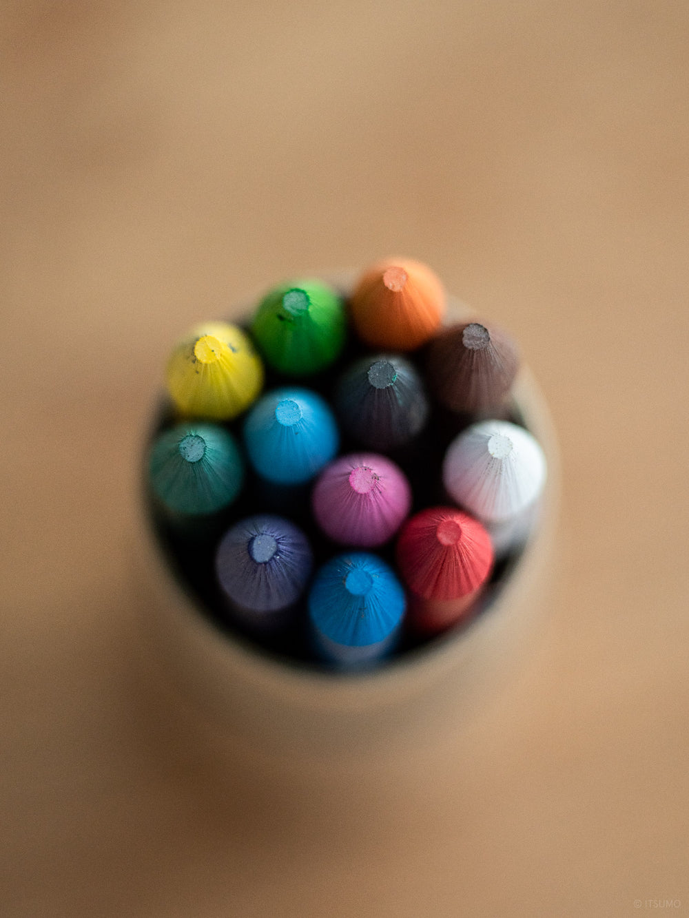 Gekkoso Colour Pencil Set