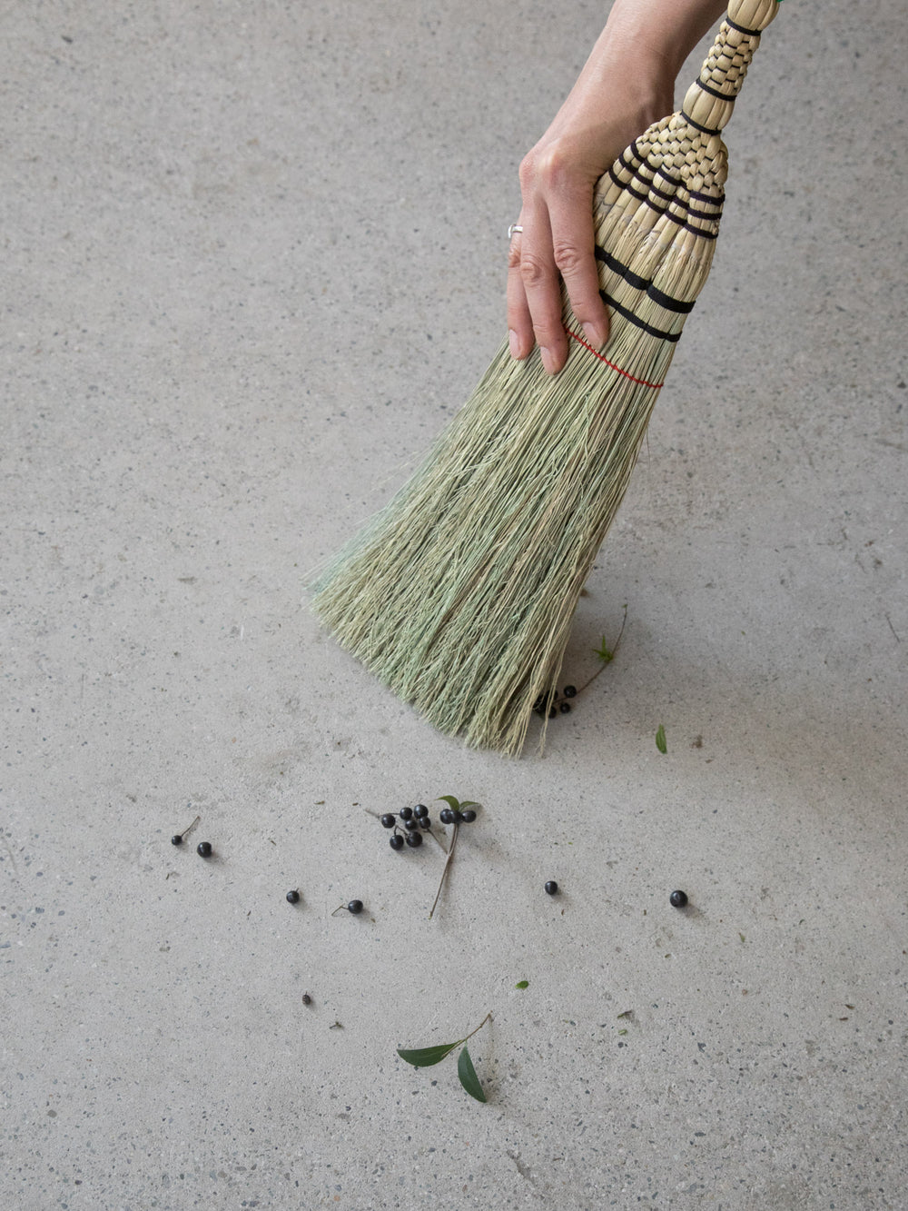 Gunma Small Broom