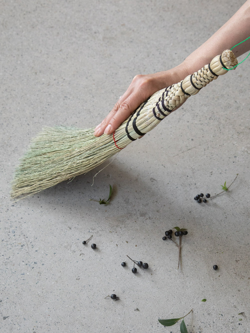 Gunma Small Broom