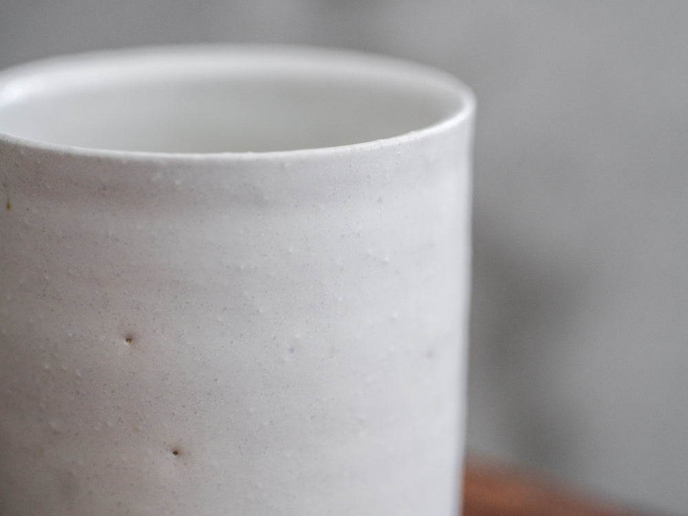 Iga Teacup – Shino