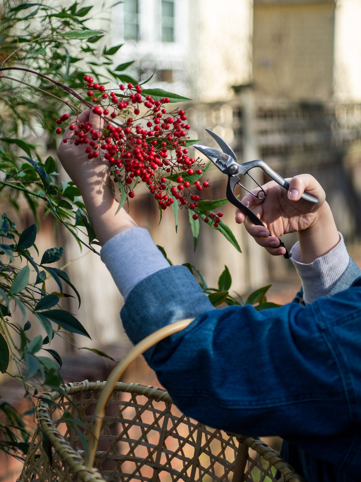 Sentei Gardening Secateurs – Wide