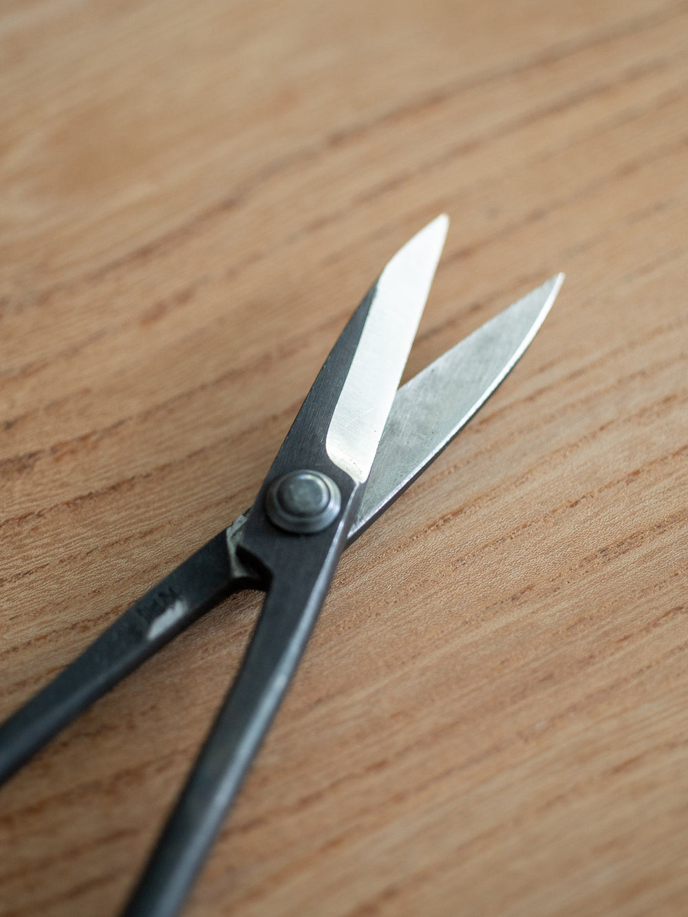 Edasukashi Bonsai Scissors