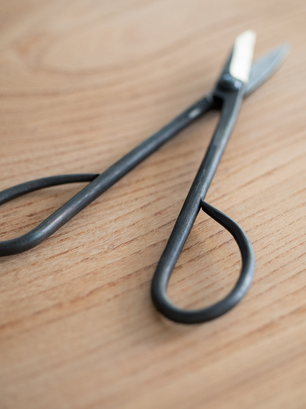 Edasukashi Bonsai Scissors