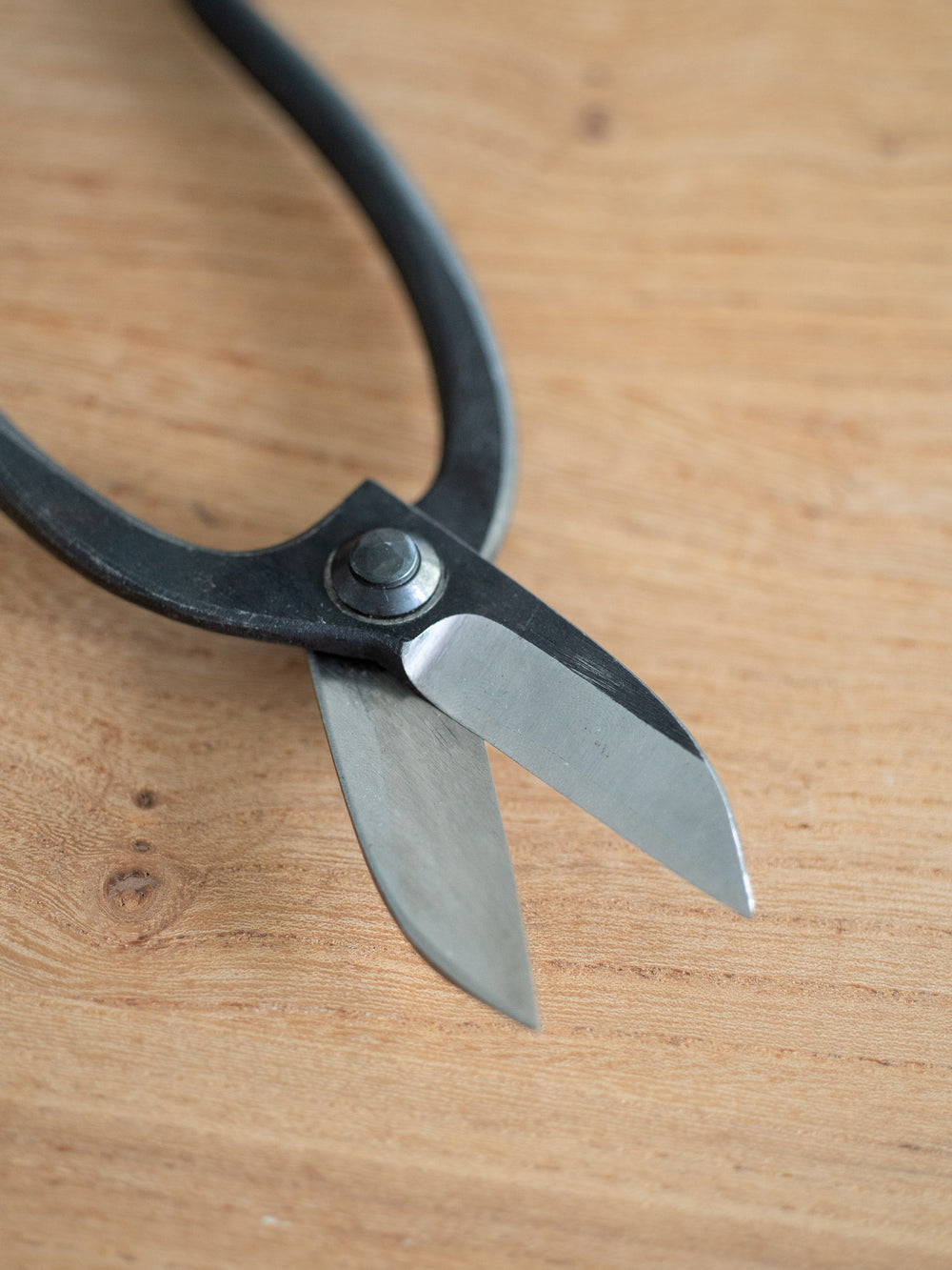 Ikenobo Ikebana Scissors