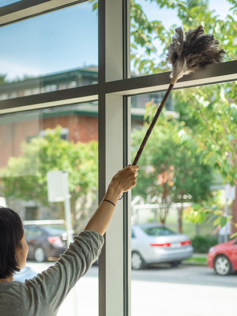 Ostrich Feather Duster – L