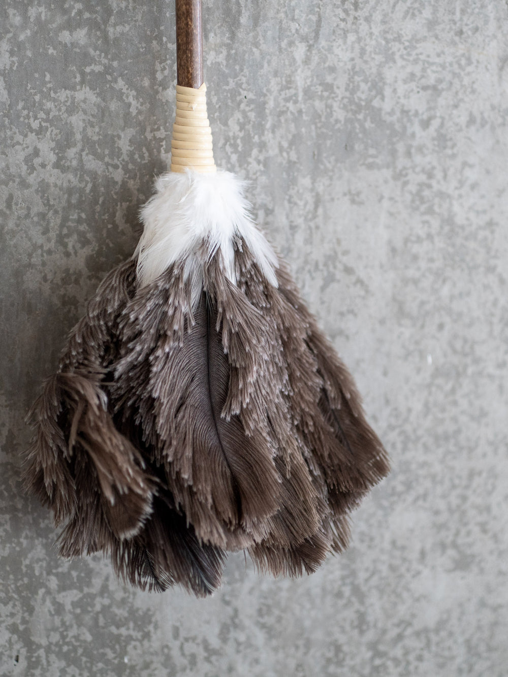 Ostrich Feather Duster – M