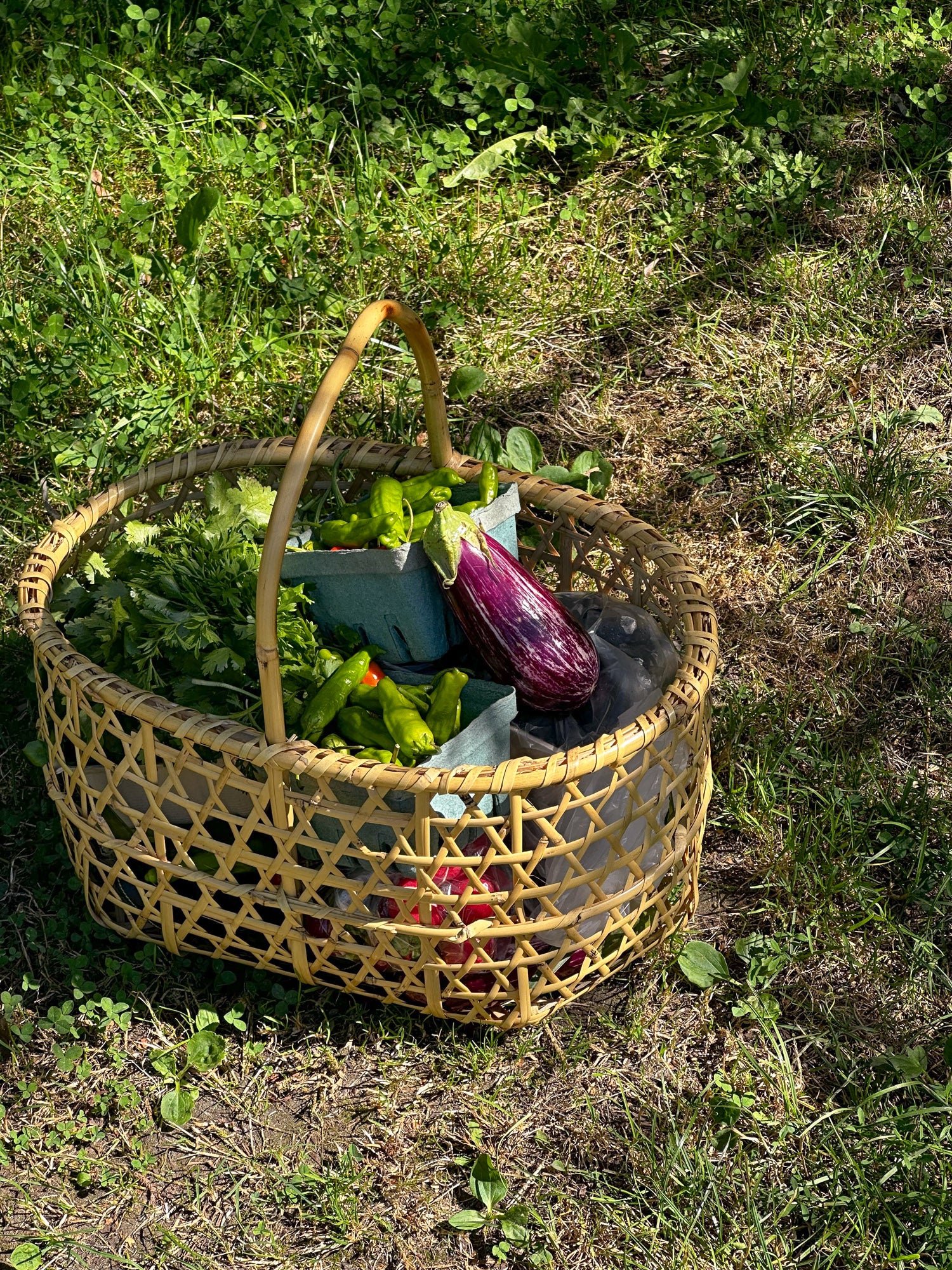 Nemagari Apple Basket