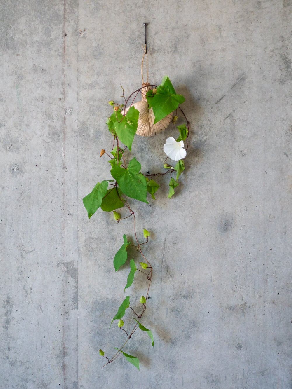 Nipa Hanging Basket