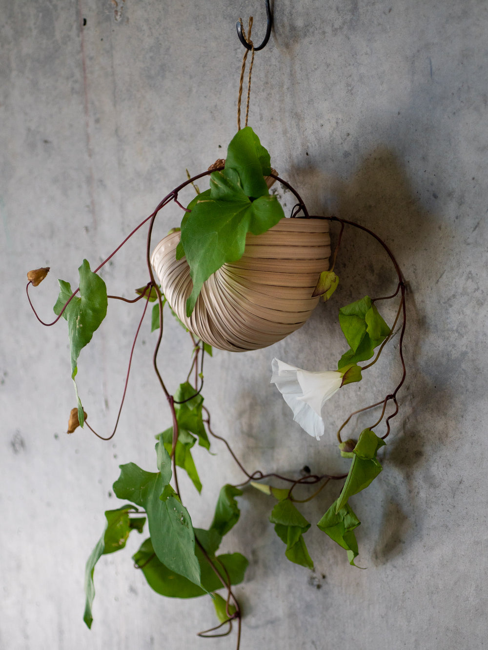 Nipa Hanging Basket