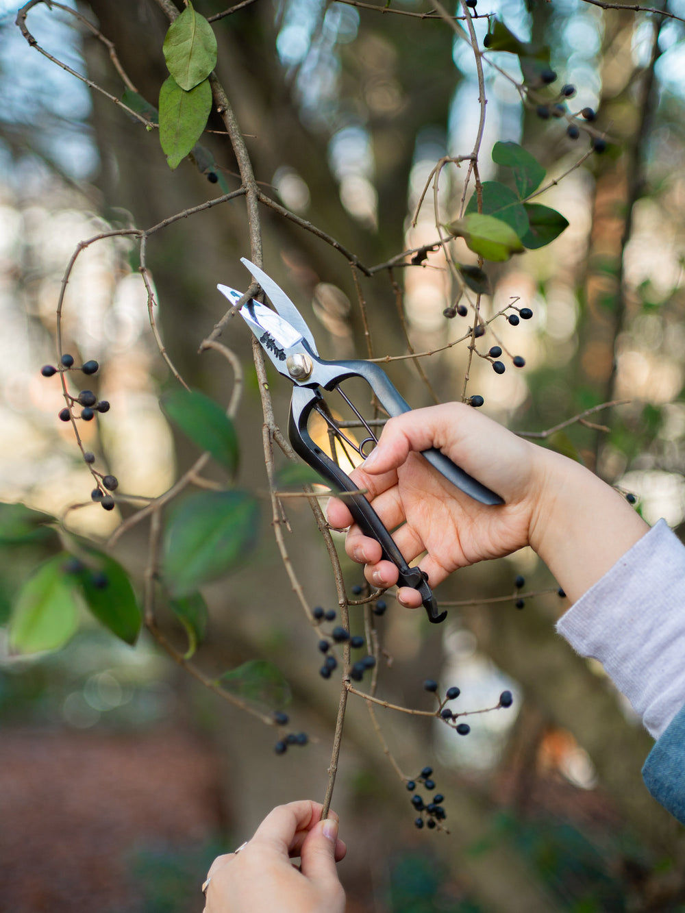 Sentei Gardening Secateurs – Straight