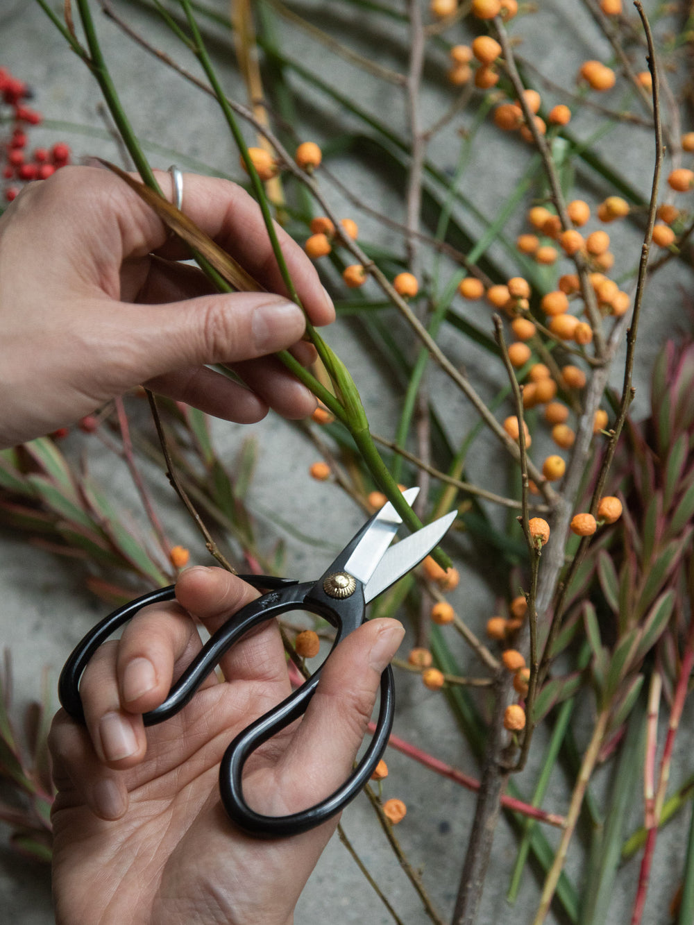 Mini Okubo Bonsai Shears