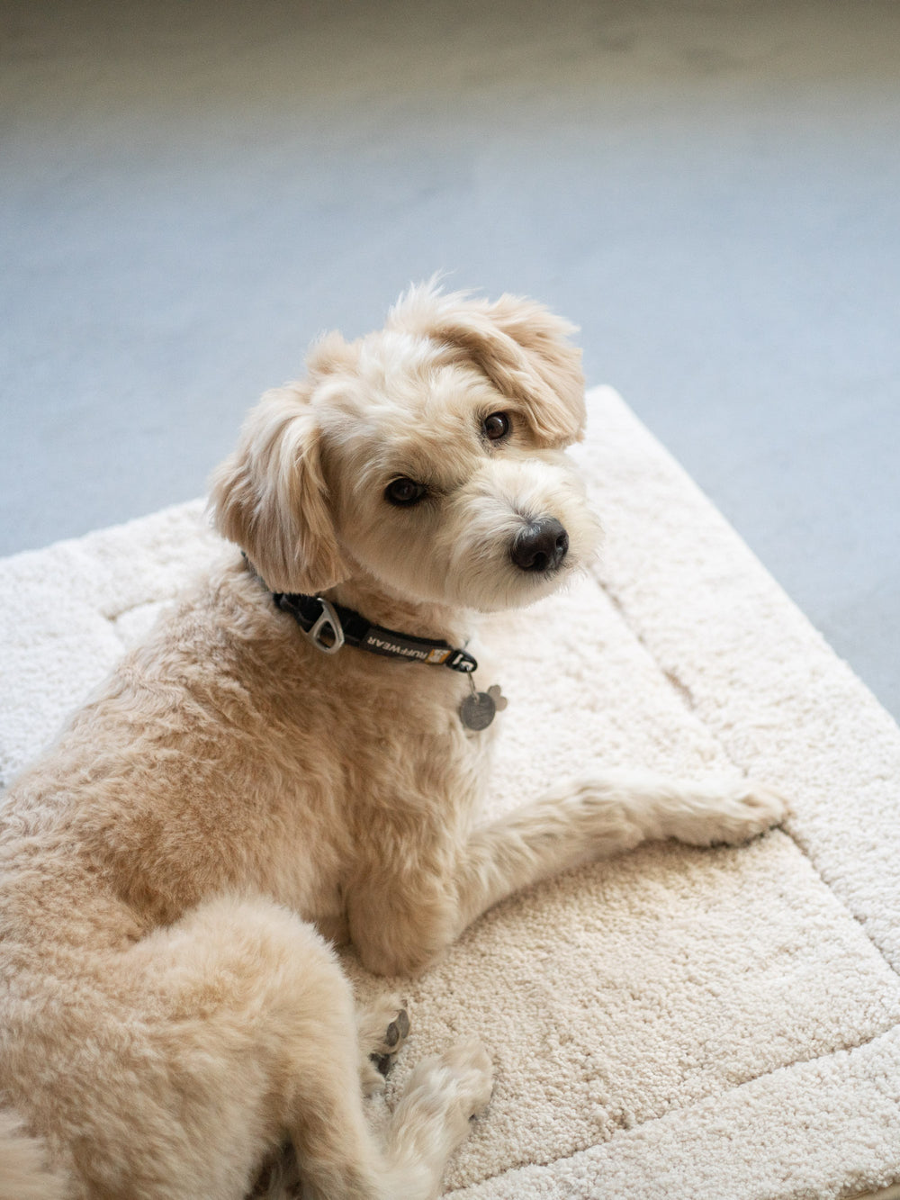 Quick Dry Bath Mat – Beige