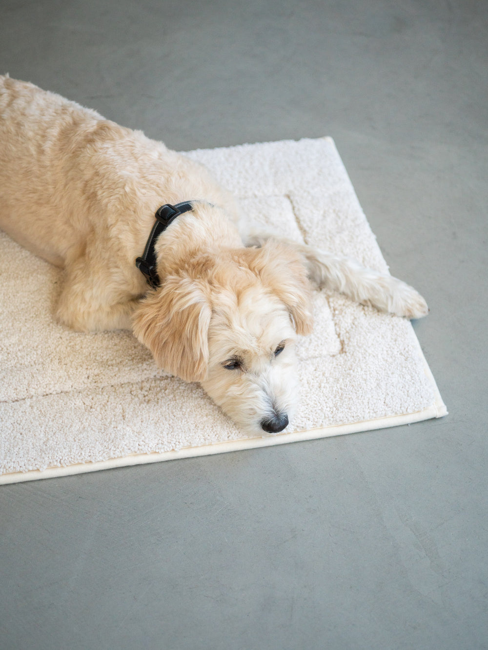 Quick Dry Bath Mat – Beige
