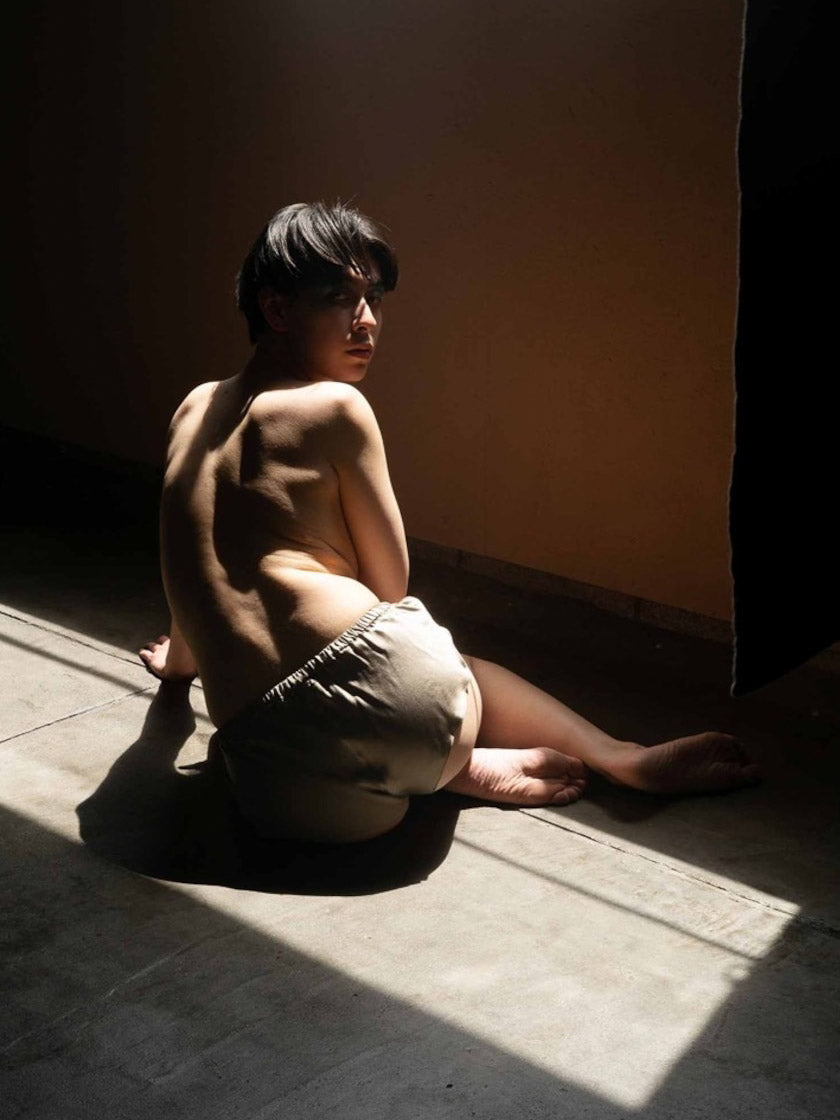 Silk Trapèze Mesh Panty - Beige