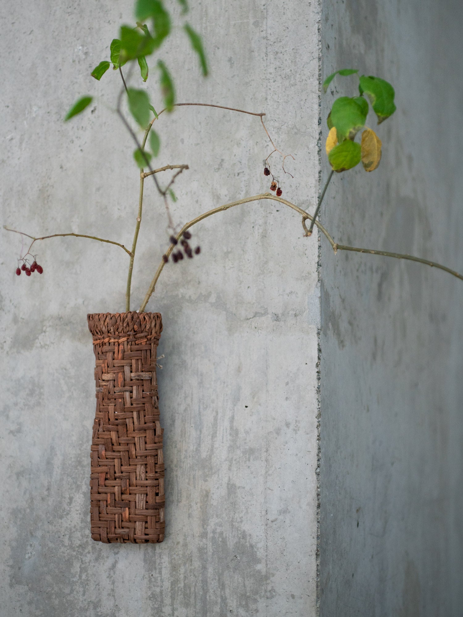 Yamabudou Grapevine Hanging Basket