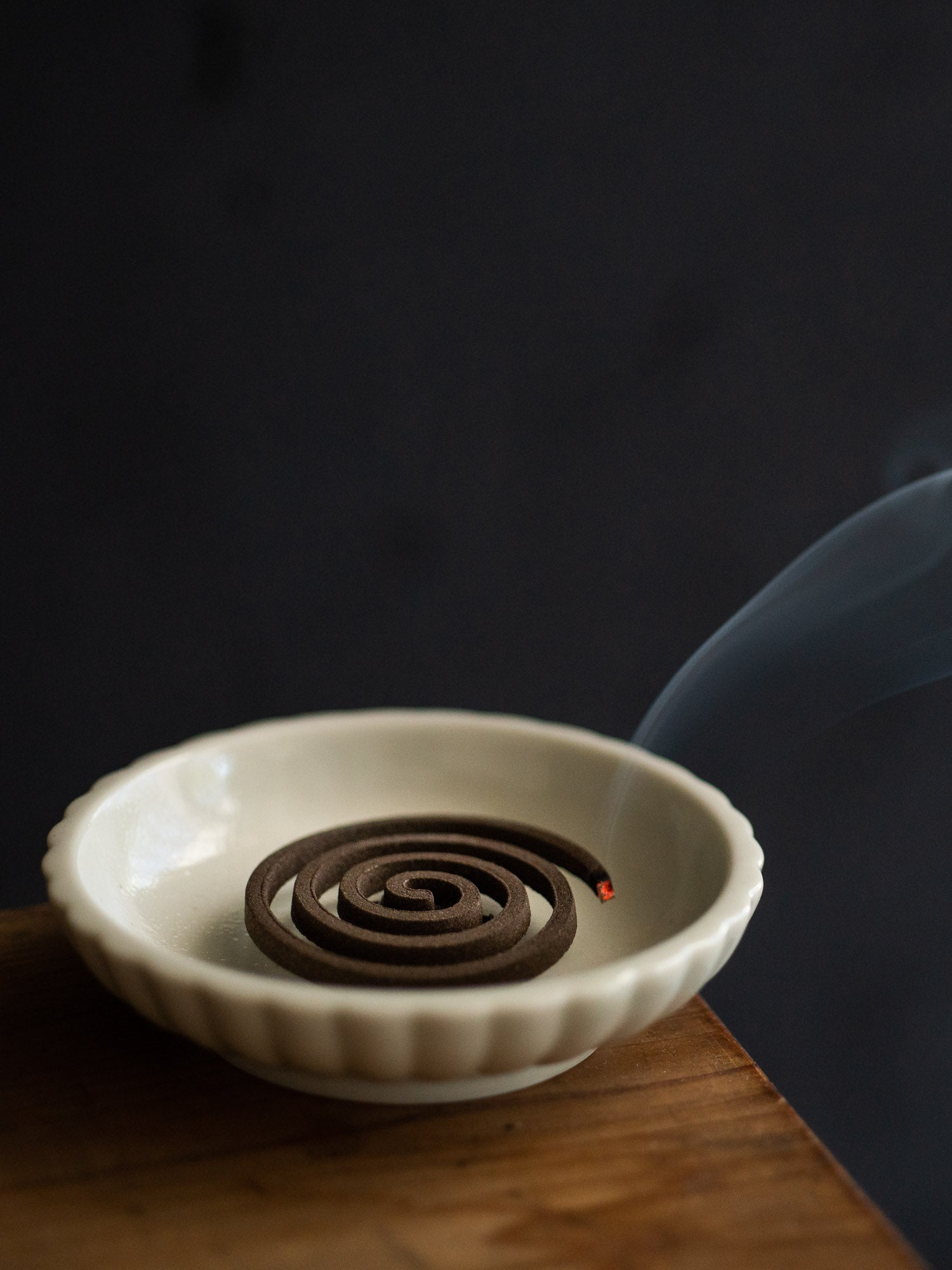Yamadamatsu Rakuen Incense Coil – Shoyo
