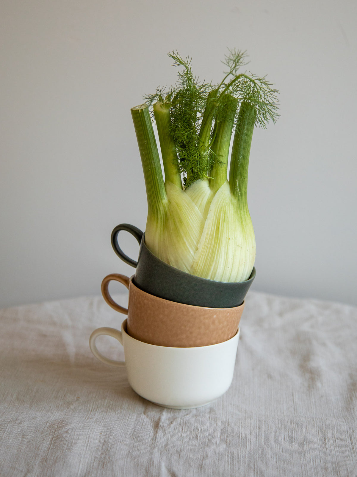 ReIRABO Cup – L