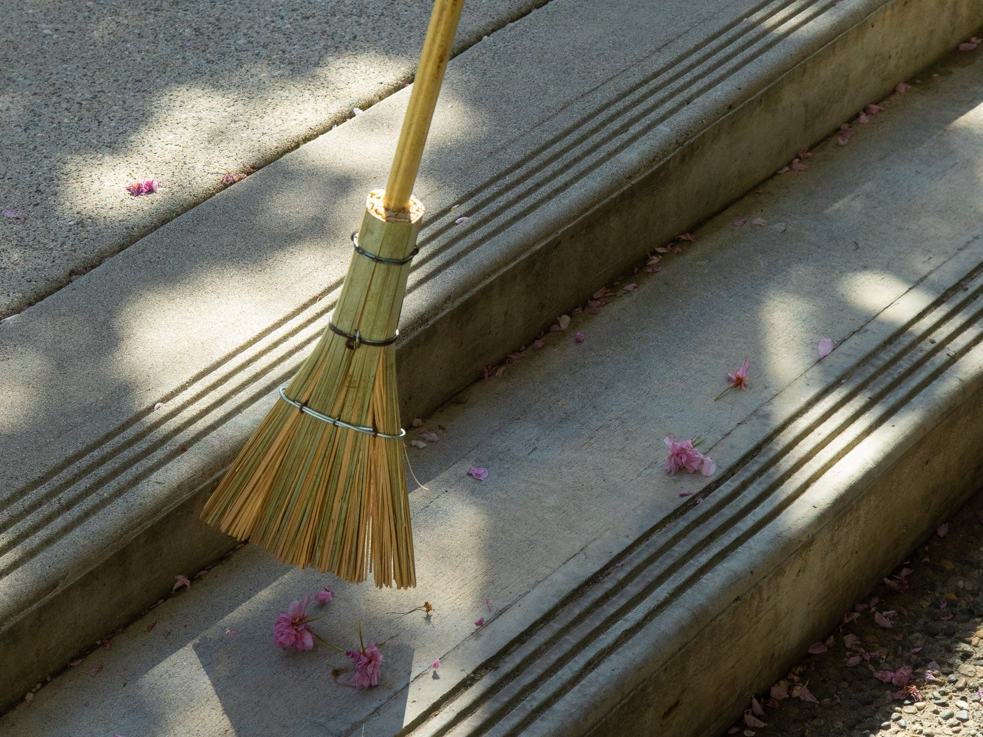Brooms & Brushes