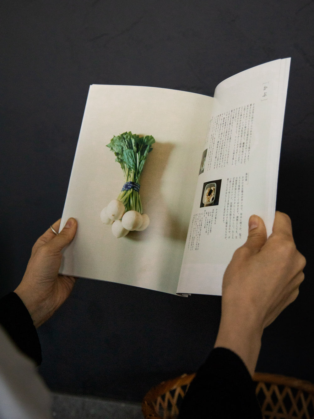 Yasai Dayori by Naomi Takayama