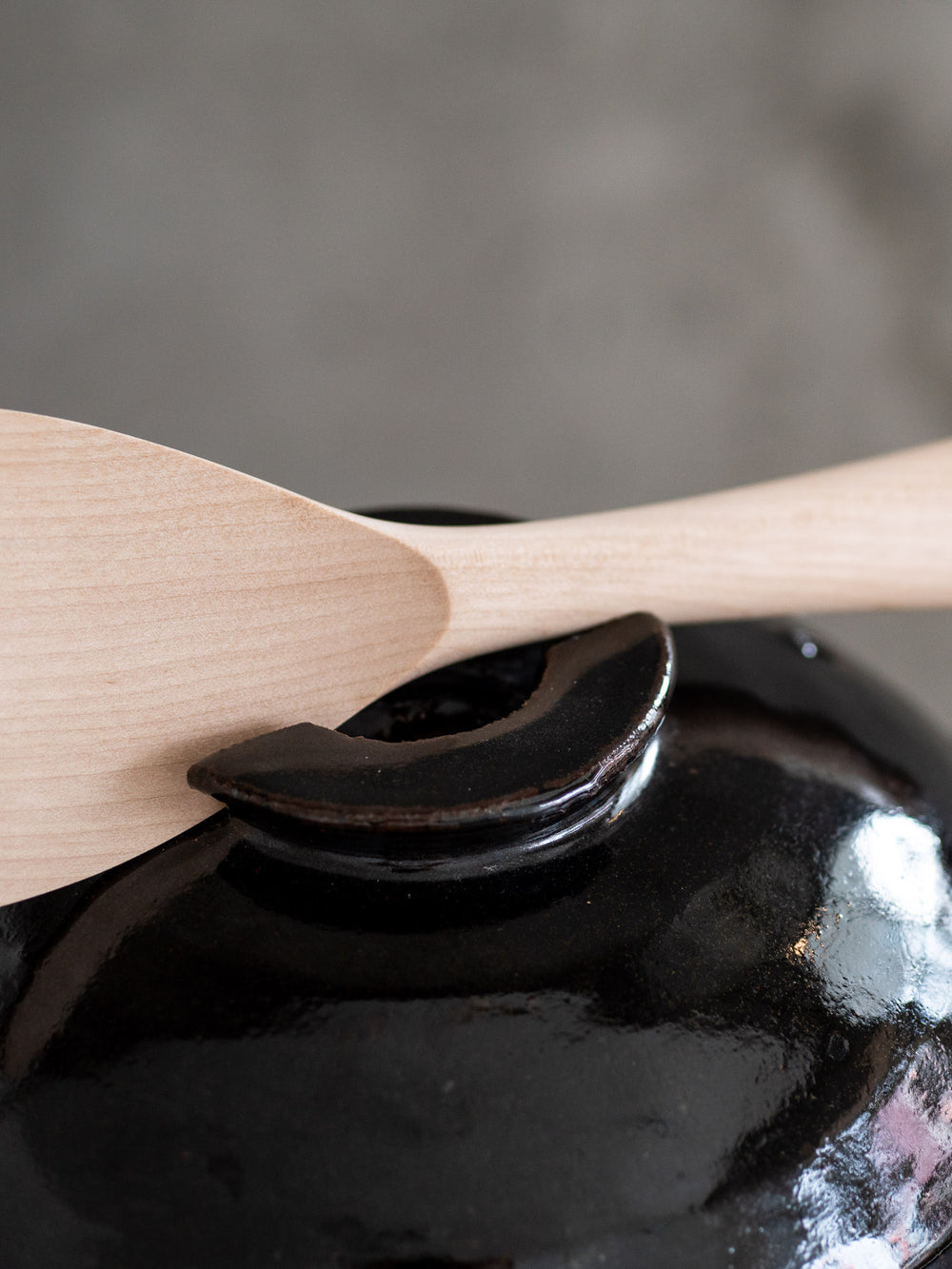 Iga Donabe Rice Cooking Pot