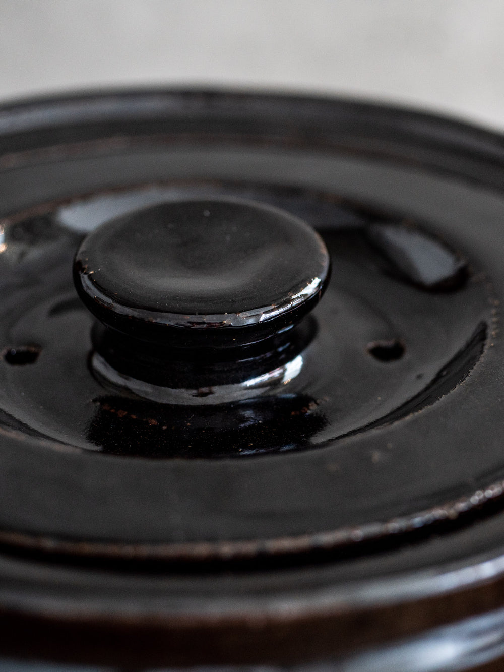 Iga Donabe Rice Cooking Pot