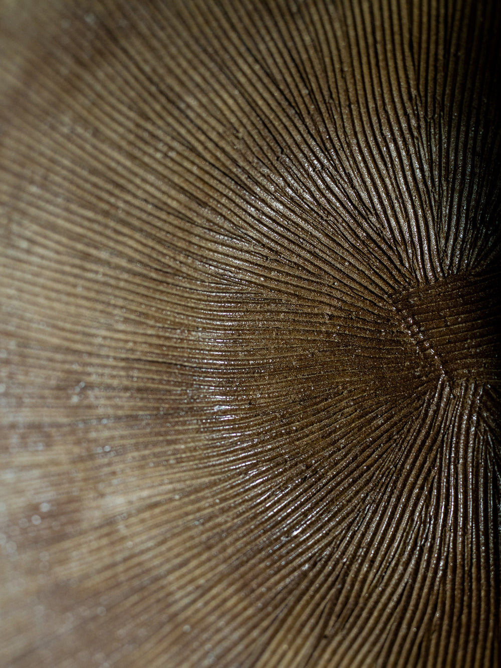 Iga Suribachi Mortar