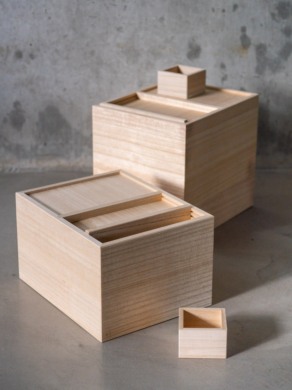Rice Storage Box