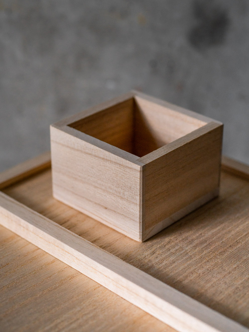 Rice Storage Box