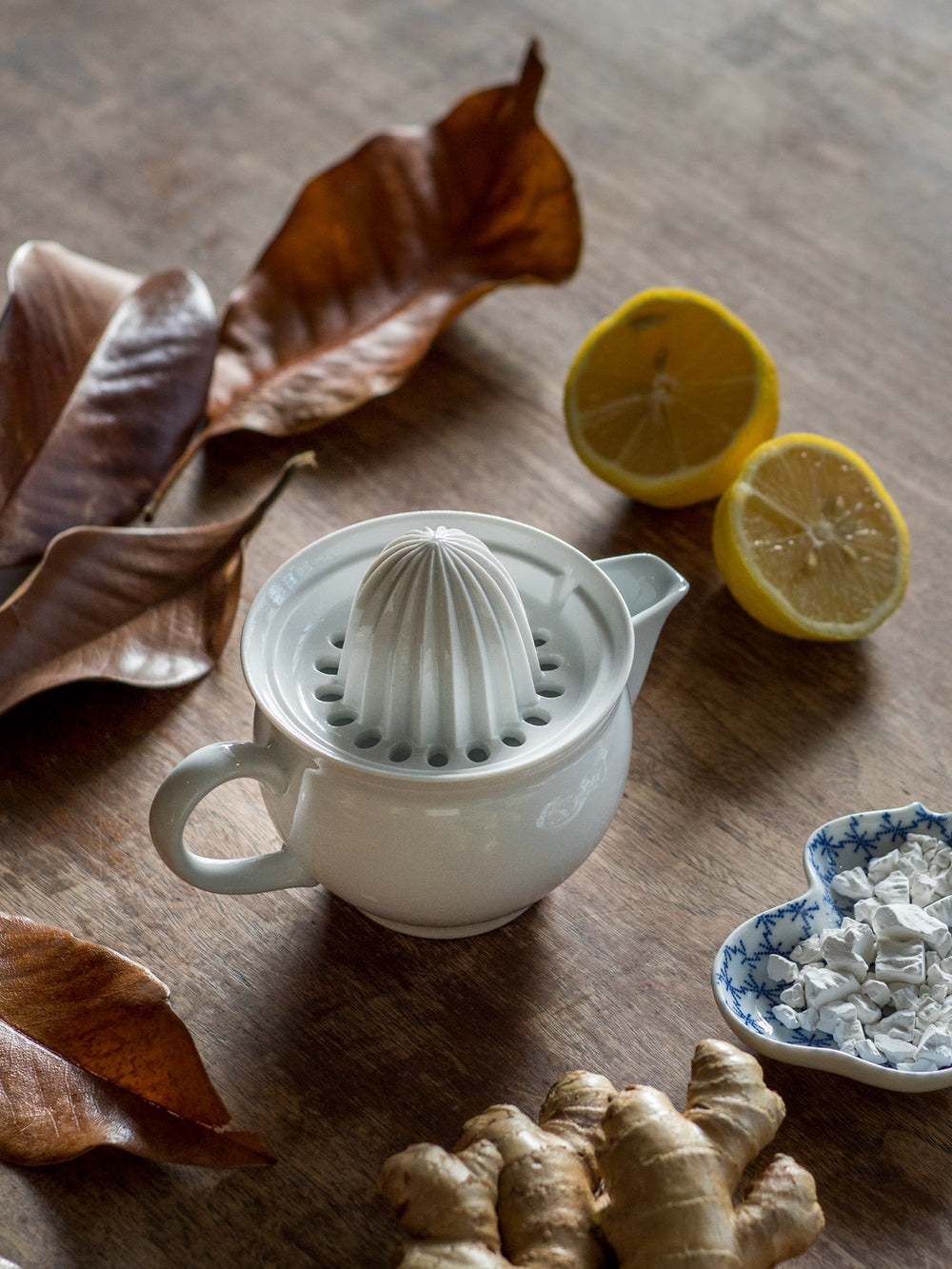 Ceramic Citrus Juicer