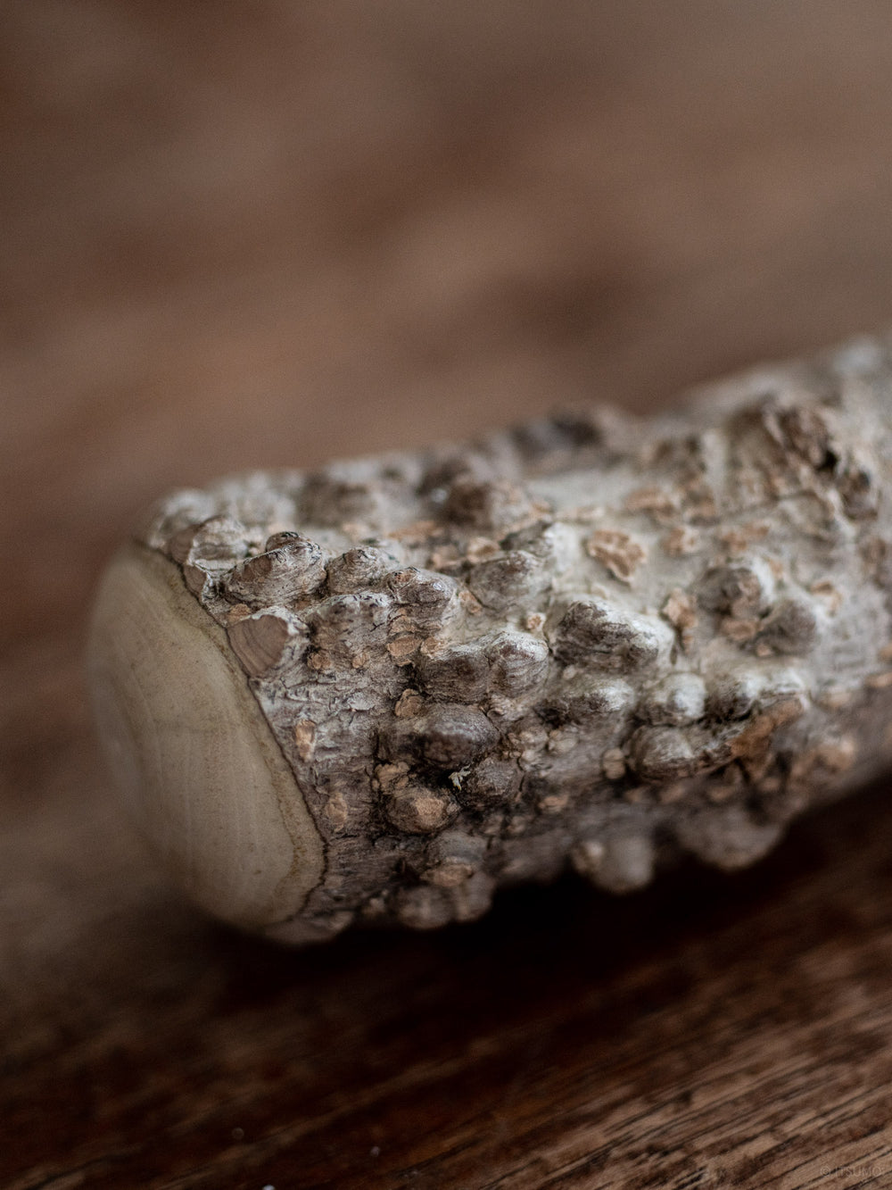 Azmaya sansho wood pestle with close up of the natural rough texture and character of Sansho trees