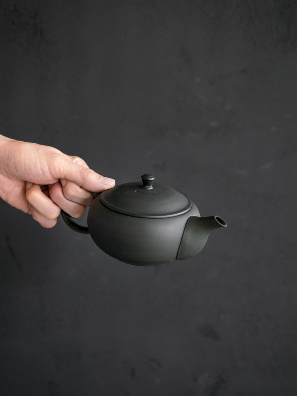 Oval Teapot with Back Handle