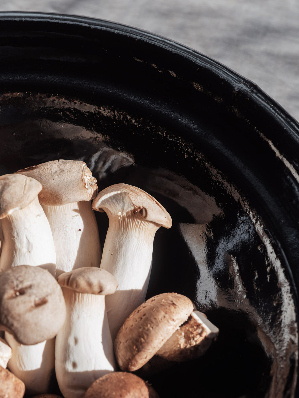 Iga Shallow Donabe Pot - Kuroame