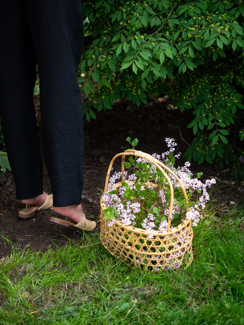 Aizu Oshin Bamboo Basket