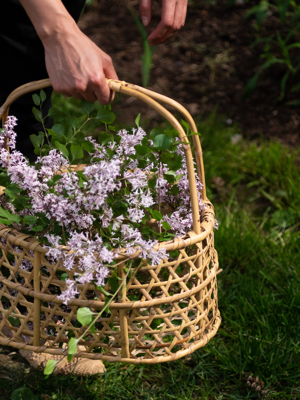 Aizu Oshin Bamboo Basket